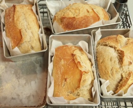 20150130_115035_Burst02