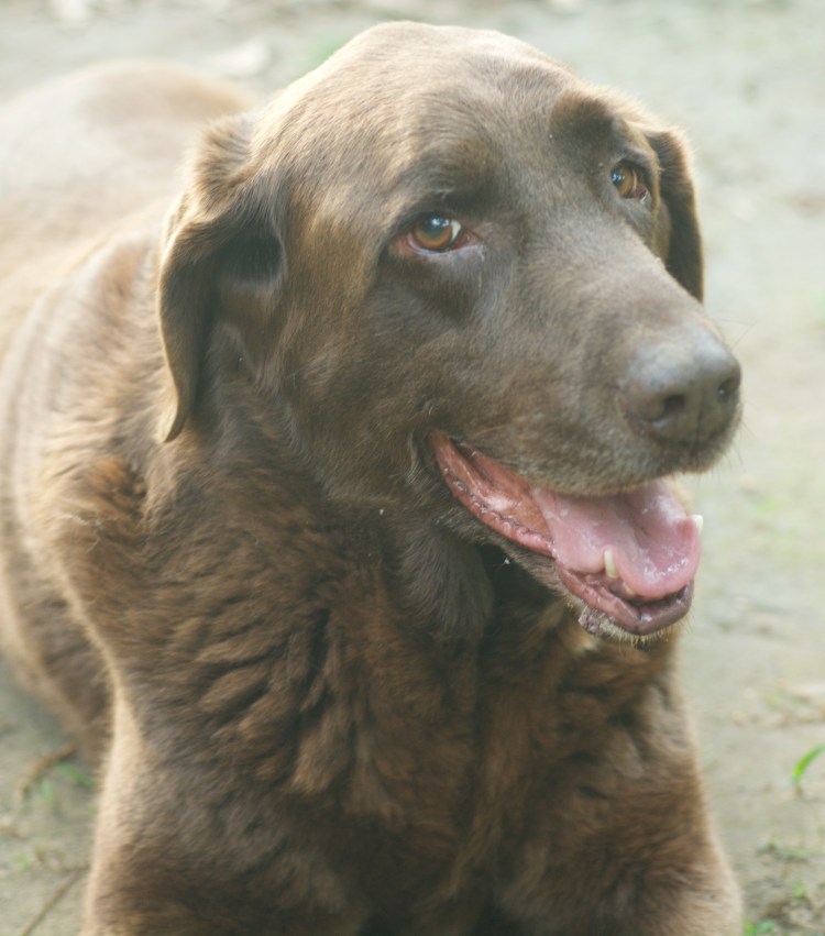 Jake says, "See you next week!"